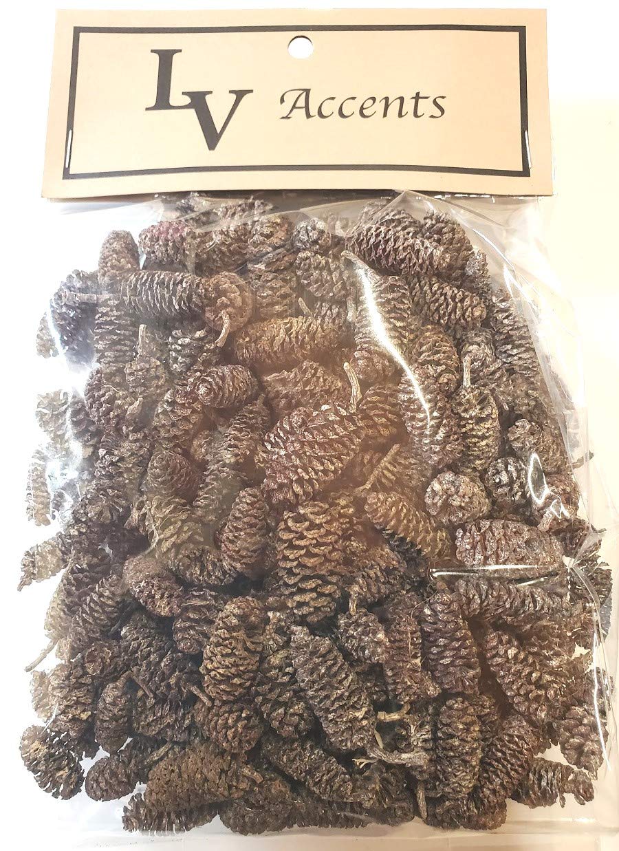 Little ValleyMini Frosted Birch Pine Cones - 4 Cup Bag - Perfect for Bowl Fillers, Table Scatters, Weddings, Crafts