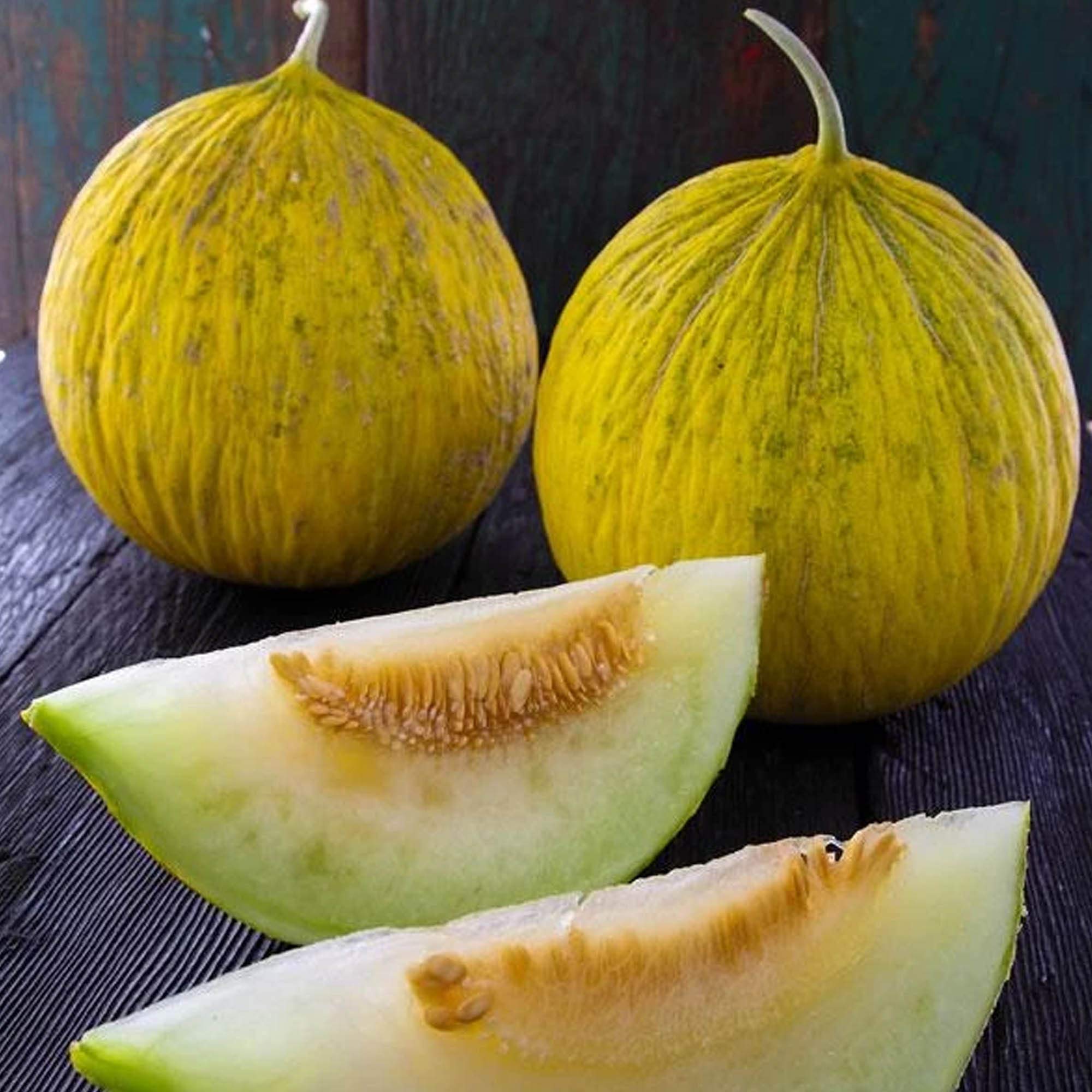 Organic Casaba Sungold Melon - 1 g ~30 Seeds - Organic, Non-GMO, Open Pollinated - Farm & Garden Vegetable/Fruit Gardening Seeds
