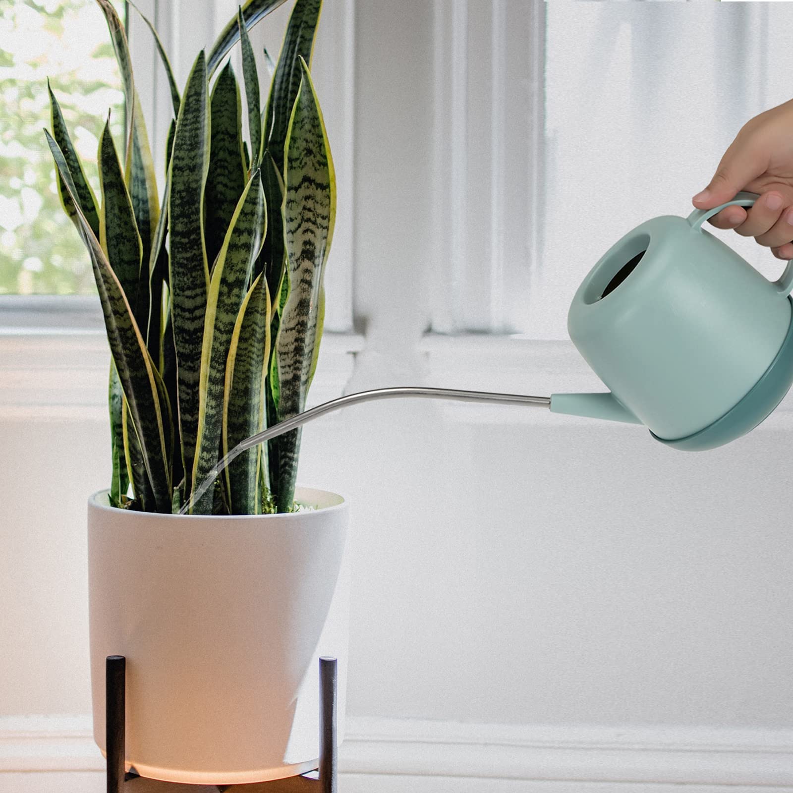Arrosoir En Acier Inoxydable 1 Litre - Bec Long, Poignée En Bois, Design Anti-débordement - Pour Plantes D'intérieur