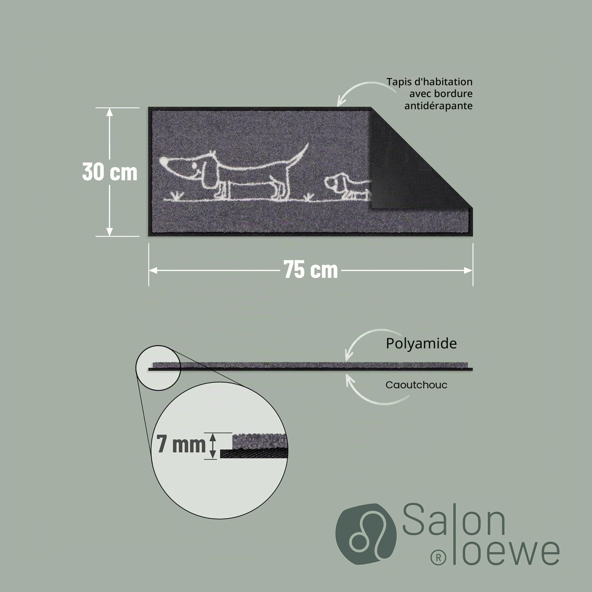 Salonloewe Mini paillasson et paillasson pour intérieur 30 x 75 cm