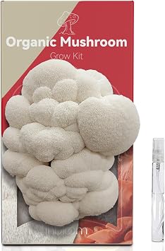 inbloom Organic Lions Mane Mushroom Growing Kit with Spray, Harvest Fresh Mushrooms at Home, Beginner Friendly & Easy to Use, Unique Gardening Gift for Holiday, Handmade in New Jersey, USA