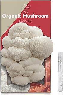 inbloom Organic Lion's Mane Mushroom Growing Kit with Spray, Harvest Fresh Mushrooms at Home, Beginner Friendly & Easy to Use, Unique Gardening Gift for Holiday, Handmade in New Jersey, USA