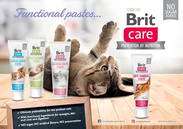Foto 2 de 2 de Comida húmeda para Gatos Brit Brit Care Paste para Gato con salmón 100 g