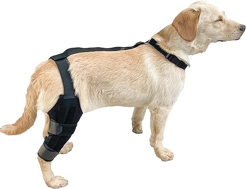 Rodillera para perro para soporte de pierna trasera, recuperación de ACL y alivio del dolor en las articulaciones, manga de compresión ajustable con
