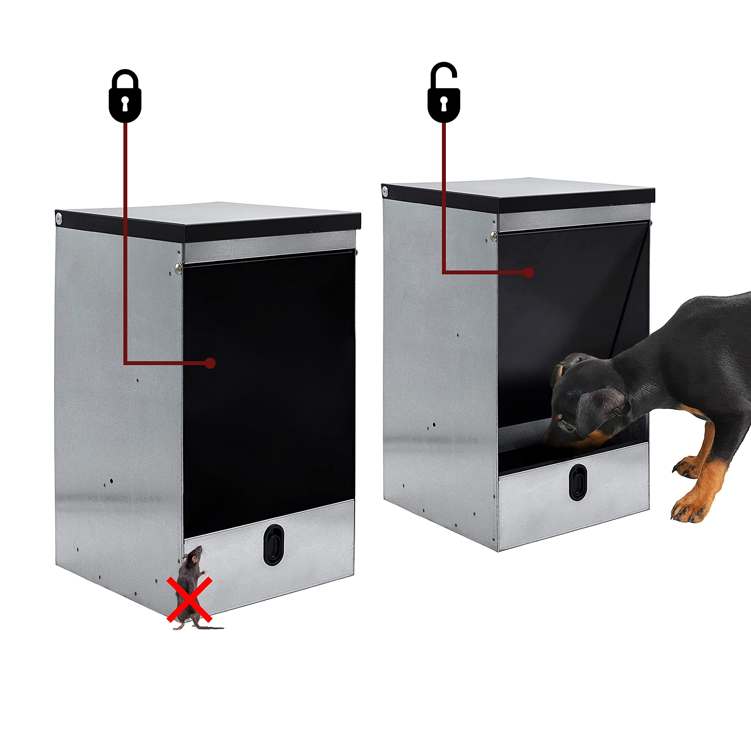 Mangiatoia Automatica Per Cani Di Grossa Taglia - Distributore A Gravità Da 11kg Per Esterno - Foto 8