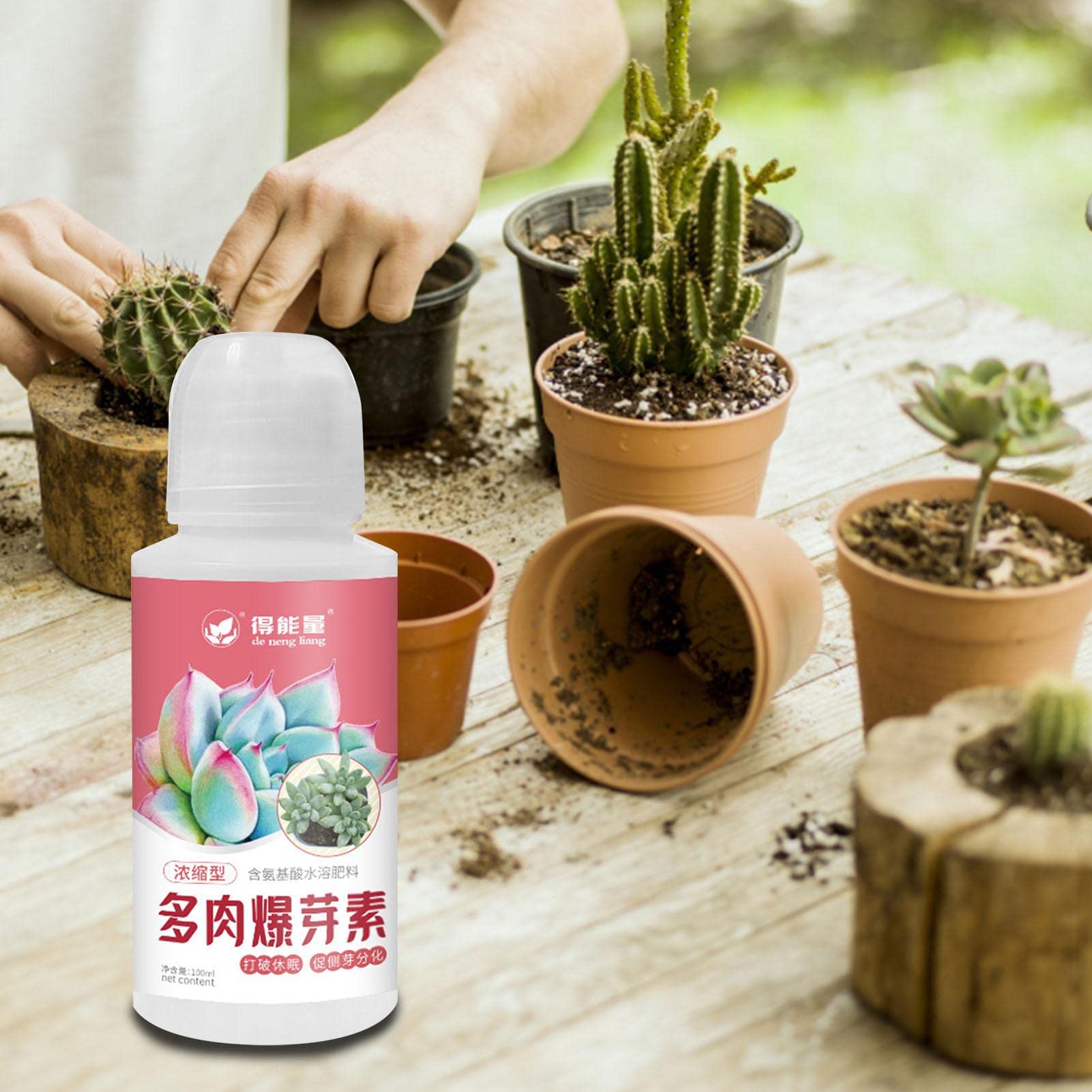 Amazon.co.jp: SAEYZ 植物の根刺激剤 多肉植物専用養液植物サボテン