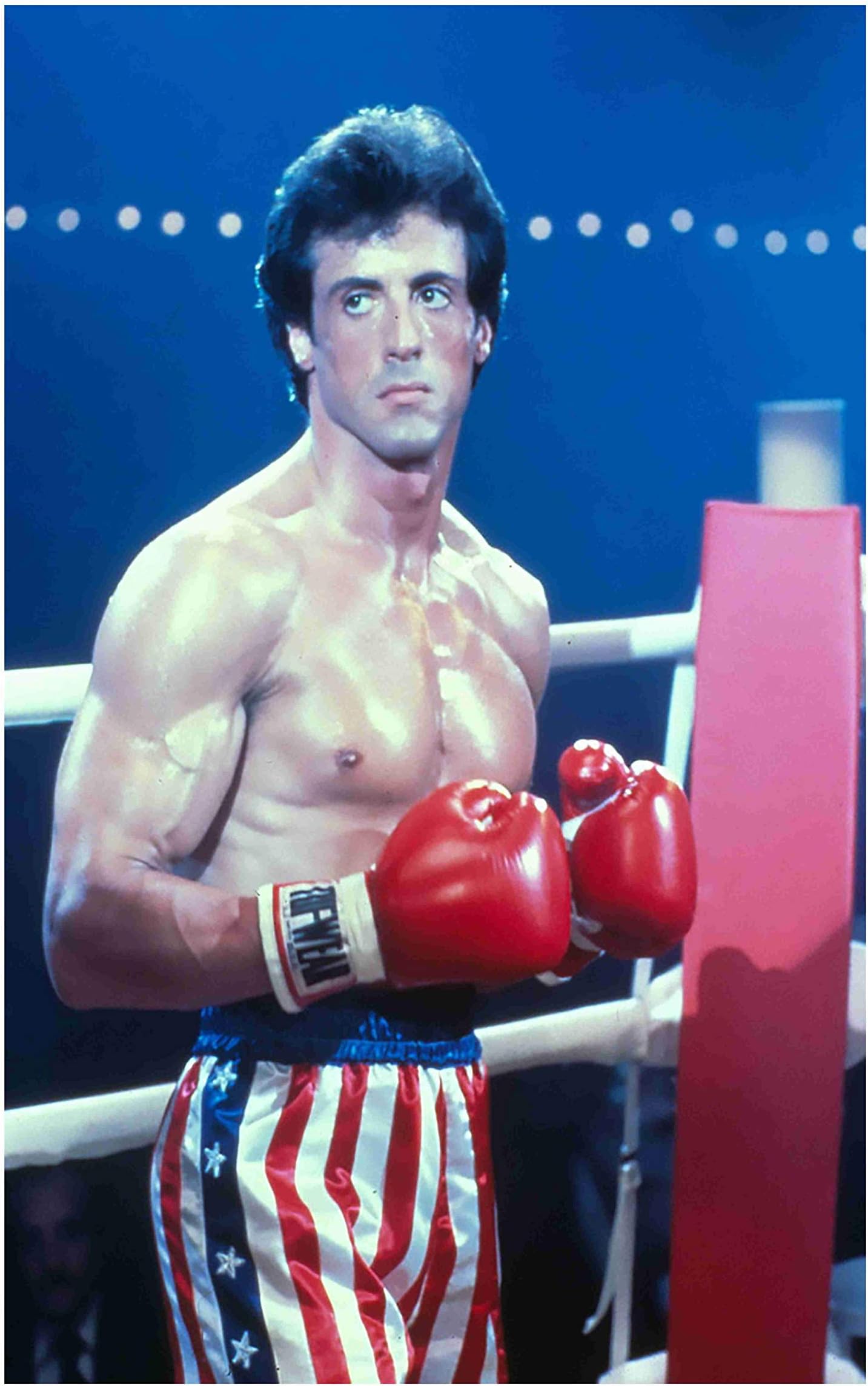 BALDAU PRINTS Sylvester Stallone Wall Poster For Room (Gloss Laminated, 12X18 Inch, 300 GSM) M1
