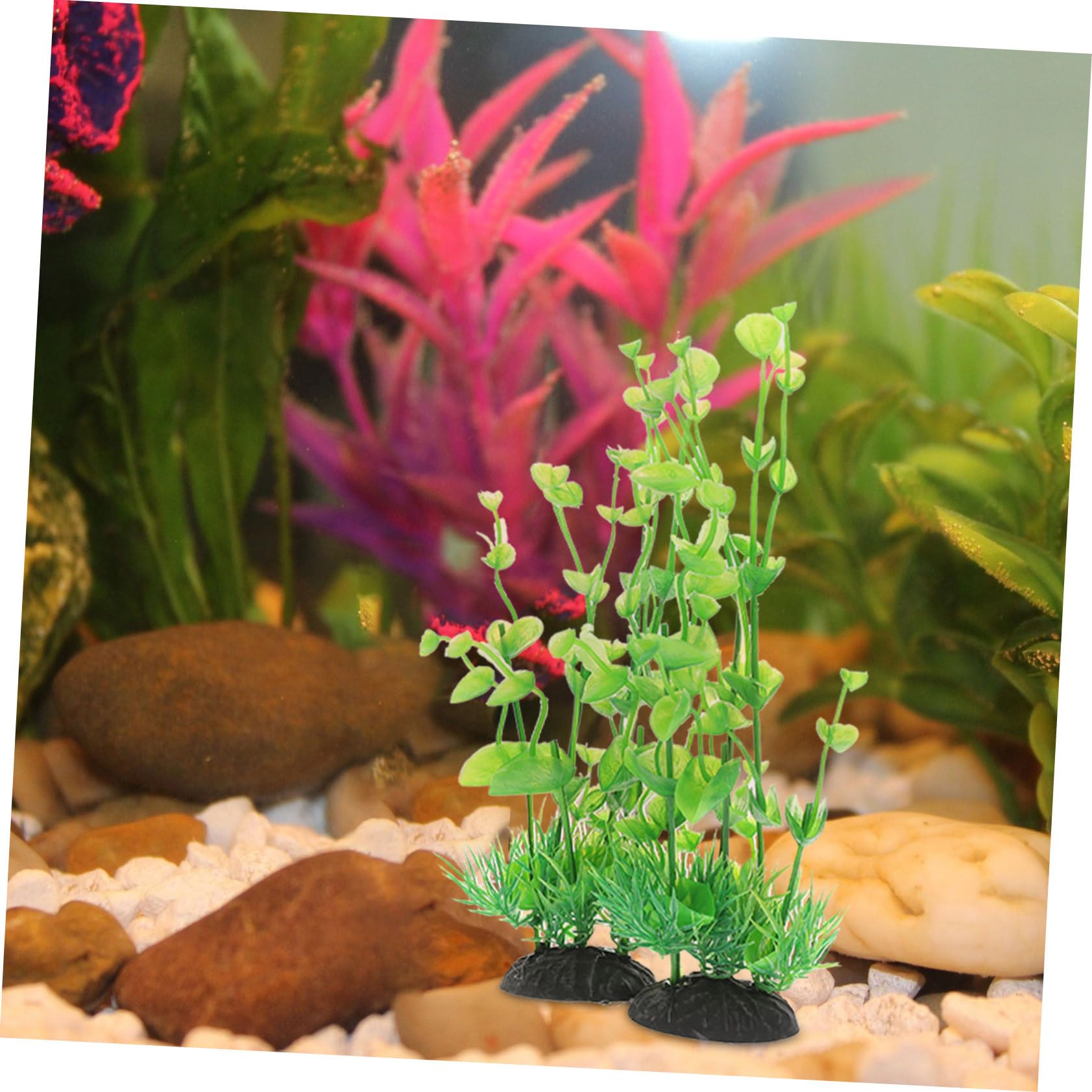 Sosoport 5 Sätze Aquarienlandschaft Aquariengras Wasser- Aquarium Pflanzen Panzer Teich Bausatz Aquariumdekorationen Klein Kleine Pflanzen Aquarienpflanze Betta-Blatt Plastik 2 Stück * 5