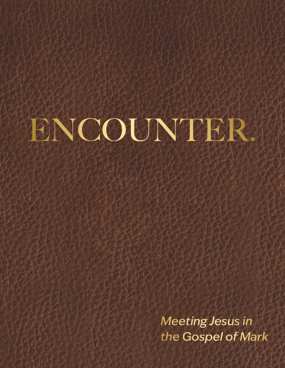 Encounter (Large Print Edition): Meeting Jesus in the Gospel of Mark