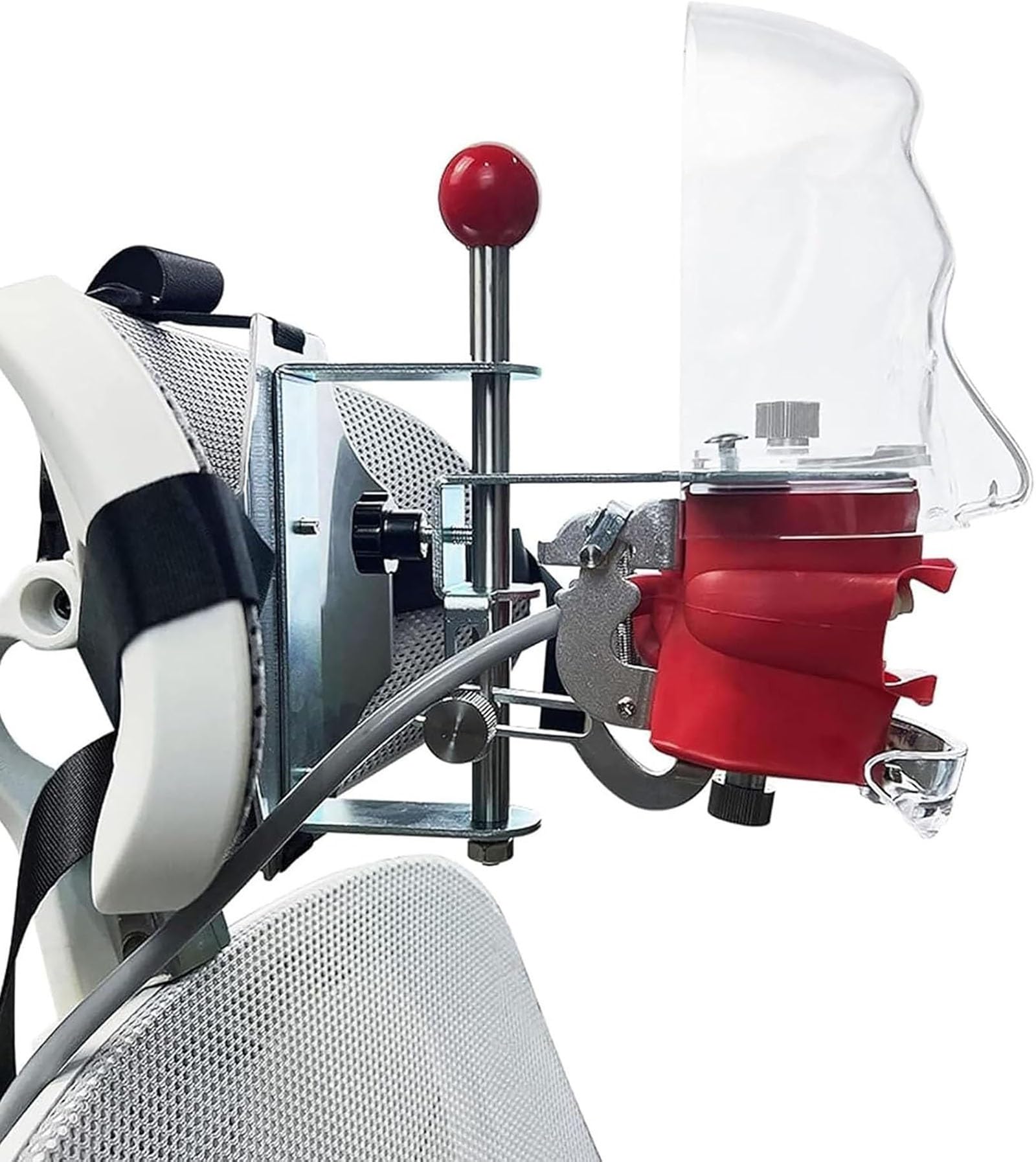 Dental Simulator Manikin Phantomkopf Kunststoff pädagogisches Zahnmodell mit Tischhalterung 32 Zähne 360-Grad-Verstellung