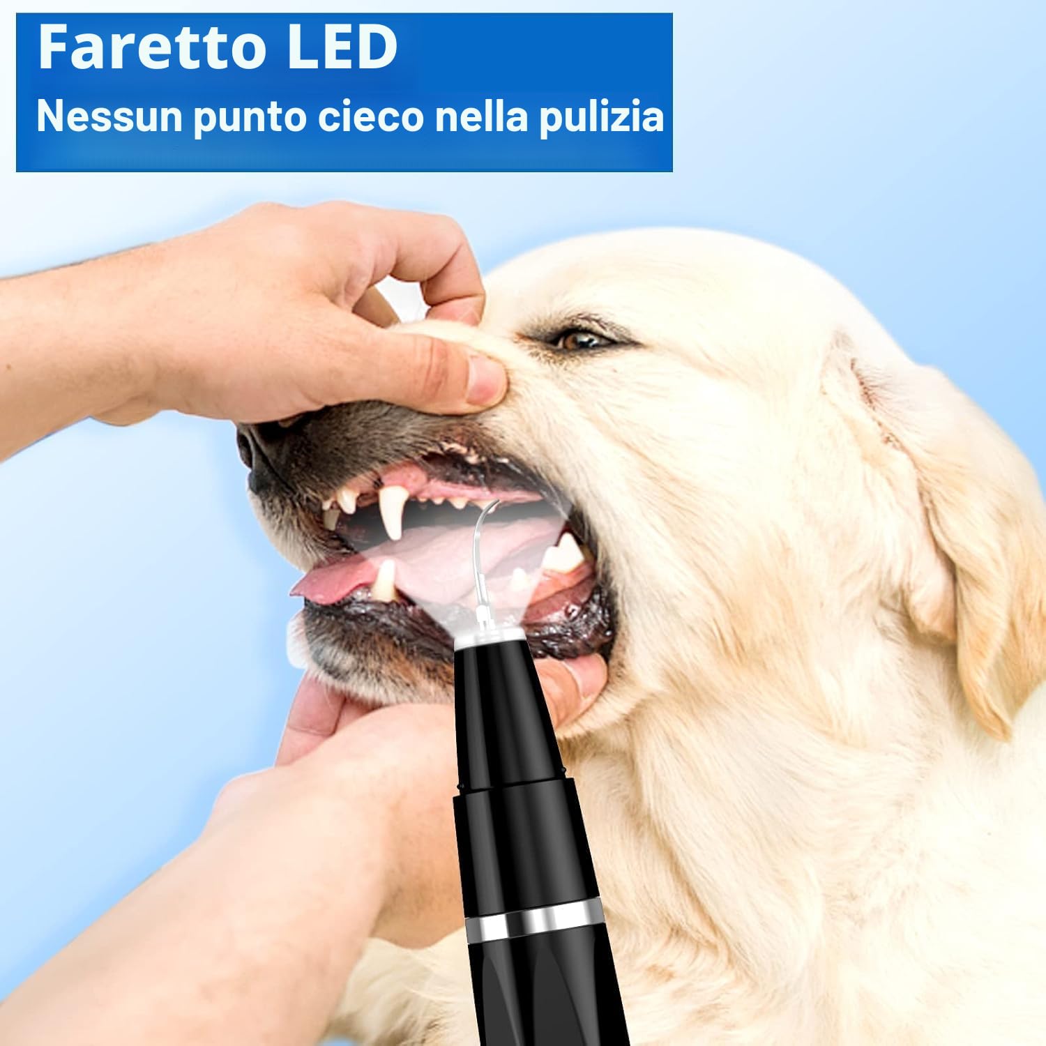 Ni-SHEN Kit per la rimozione della placca Dentale, per la Pulizia dei Denti a ultrasuoni per Animali Domestici, per tartaro e Macchie, Adatto per Cani e Gatti (Nero)