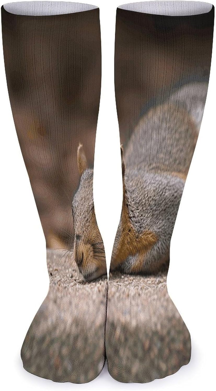 Squirrel Just Laying Knee High Socks Cozy Knee High Socks Soft Mid-Length Sock for All Seasons Daily Wear Adult