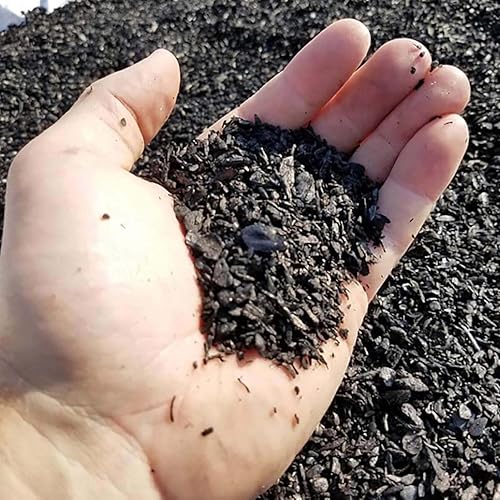 Miniatura 10 de Worm Bliss - Fundición de lombriz de tierra orgánica pura fertilizante vegetal natural y potenciador de tierra mezcla de macetas para plantas