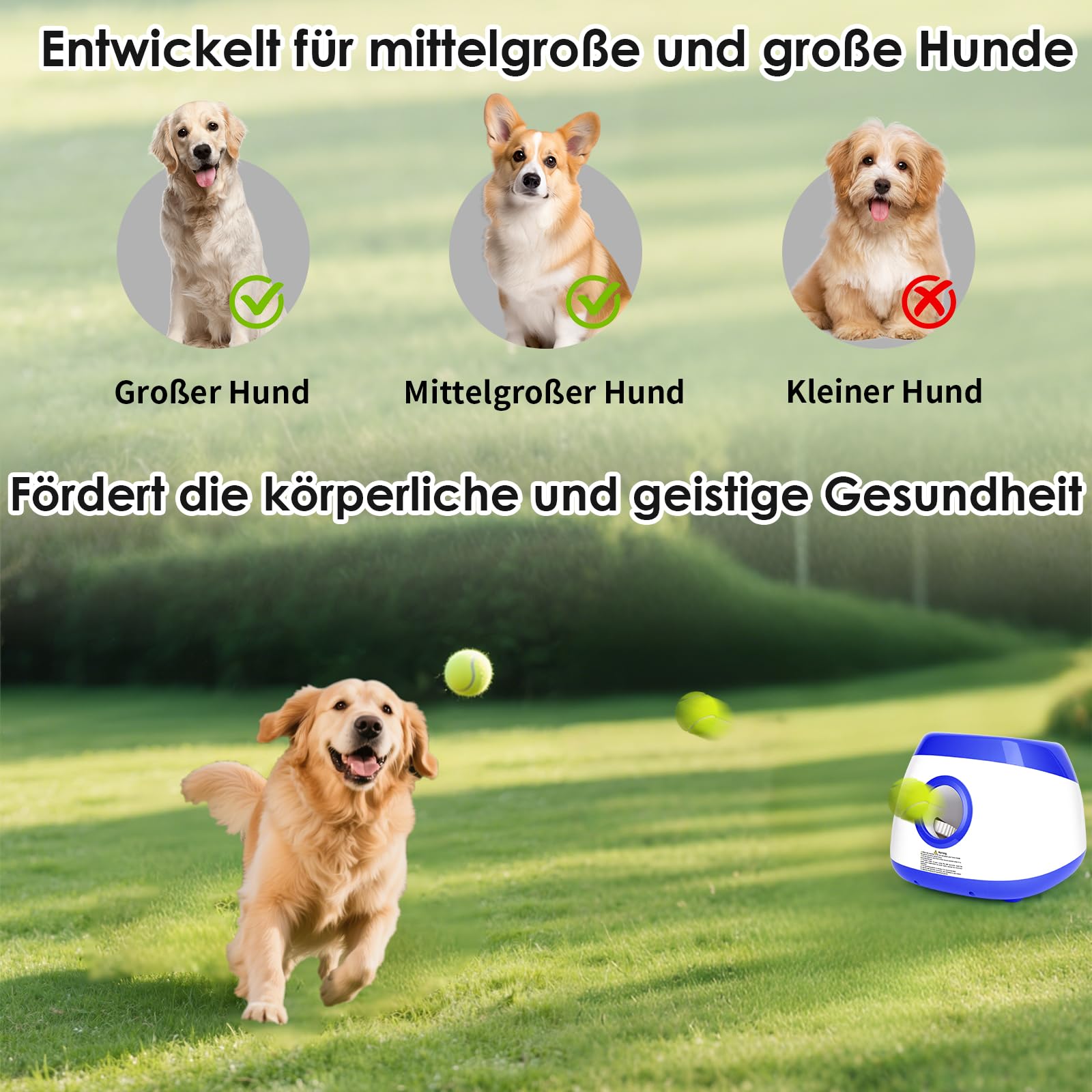 Ballwurfmaschine Hund Automatisch Ballmaschine Interaktives Hundespielzeug Elektrisch mit 6 Stück Hundeball ballwerfer für Hunde Groß und Mittlere
