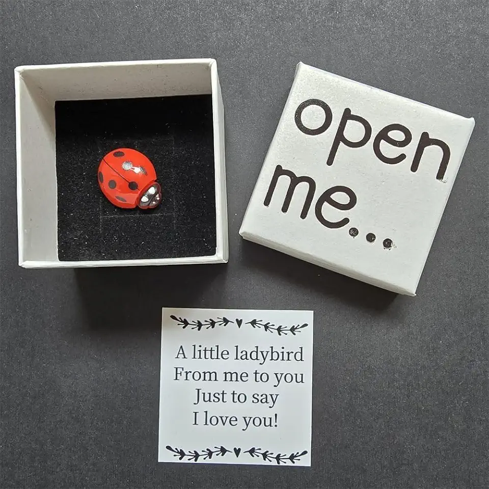 Presentes românticos de joaninha para ele e ela presentes românticos I Love You para casal namorado fofo aniversário dia dos namorados caixa de fósforos presente para namorada namorado