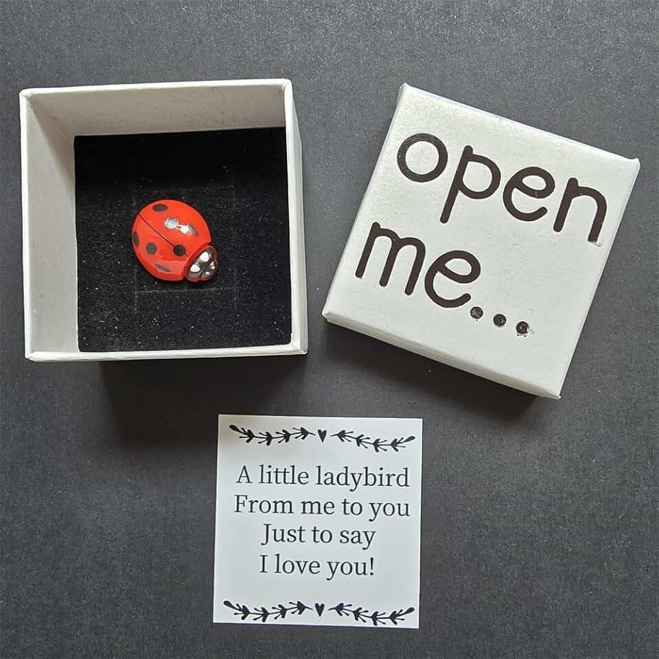 Presentes românticos de joaninha para ele e ela presentes românticos I Love You para casal namorado fofo aniversário dia dos namorados caixa de fósforos presente para namorada namorado