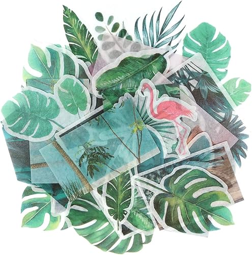 allydrew Calcomanías decorativas para álbumes de recortes, Washi, manualidades para papelería, diario, fabricación de tarjetas (60 unidades), hojas