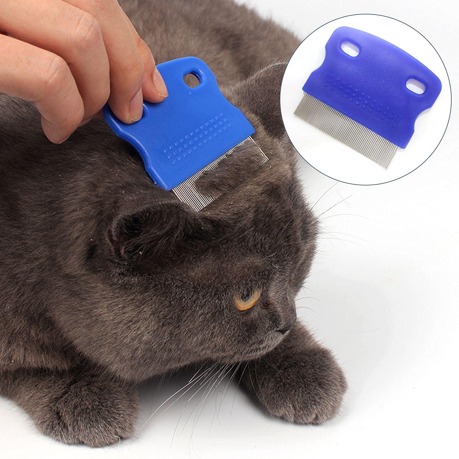 6 PCS Kit de peigne anti puce chiens et chats,Peigne Anti Poux,Peigne Anti Puces pour Chat, Elimination poux et poussière Outil de toilettage en acier inoxydable avec pointes arrondies