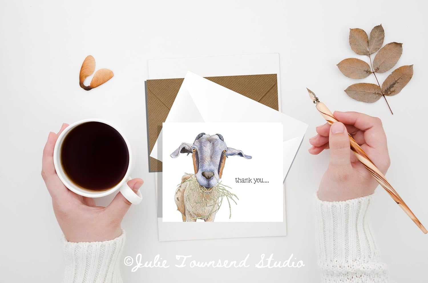 Nibbles the Goat Thank You Card Set Set of 10 Goat Cards with envelopes