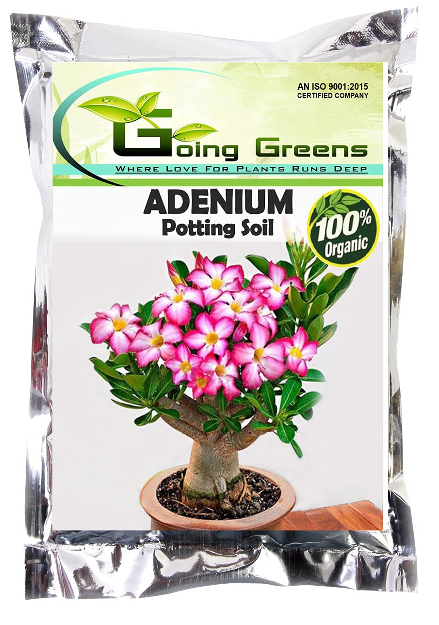 Going Greens Adenium Potting Soil Mix(2 kg) (B096Y4JJQQ) Amazon Price History, Amazon Price Tracker