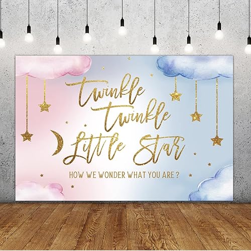 Lofaris Twinkle Twinkle Little Star - Telón de fondo para revelación de género para niño o niña, rosa o azul, con texto en inglés How We Wonder What