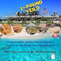 Vista 4 de Musgo marino Musgo marino irlandés Artesanal silvestre - 100% natural, hace más de 120 onzas de gel Seamoss Dr. Sebi - 8 onzas para la salud
