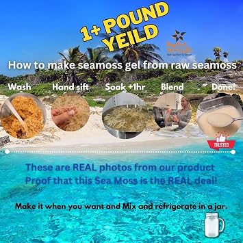 Purple Sea Moss | Irish Sea Moss | Wildcrafted - 100% Natural, Makes 120+ oz of Seamoss Gel, for Health & Wellness | Dr. Sebi - 8oz