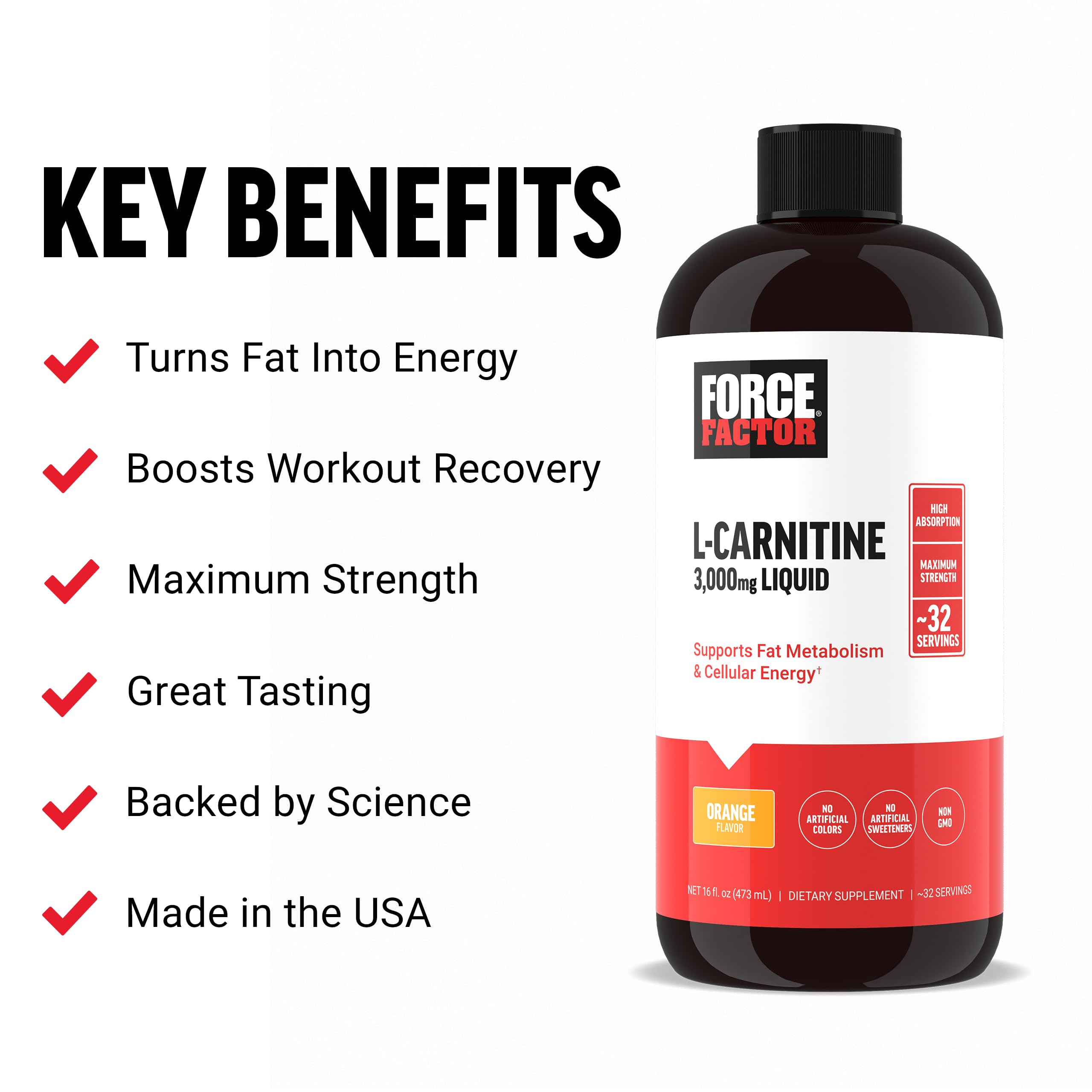 l carnitina 2000 max titanium l carnitina elite max L-Carnitine Lquida Pure 400 ml