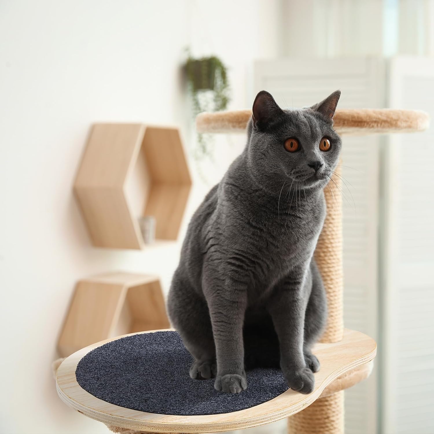Dansydaisy 3 Pack 17.32" x 13.78" Cat Tree Attachments Accessories Tower Replacement Platform Soft Felt Blanket Wooden Perch Step Handwoven Hemp Rope Scratch for Floor to Ceiling DIY Indoor Cats Tower