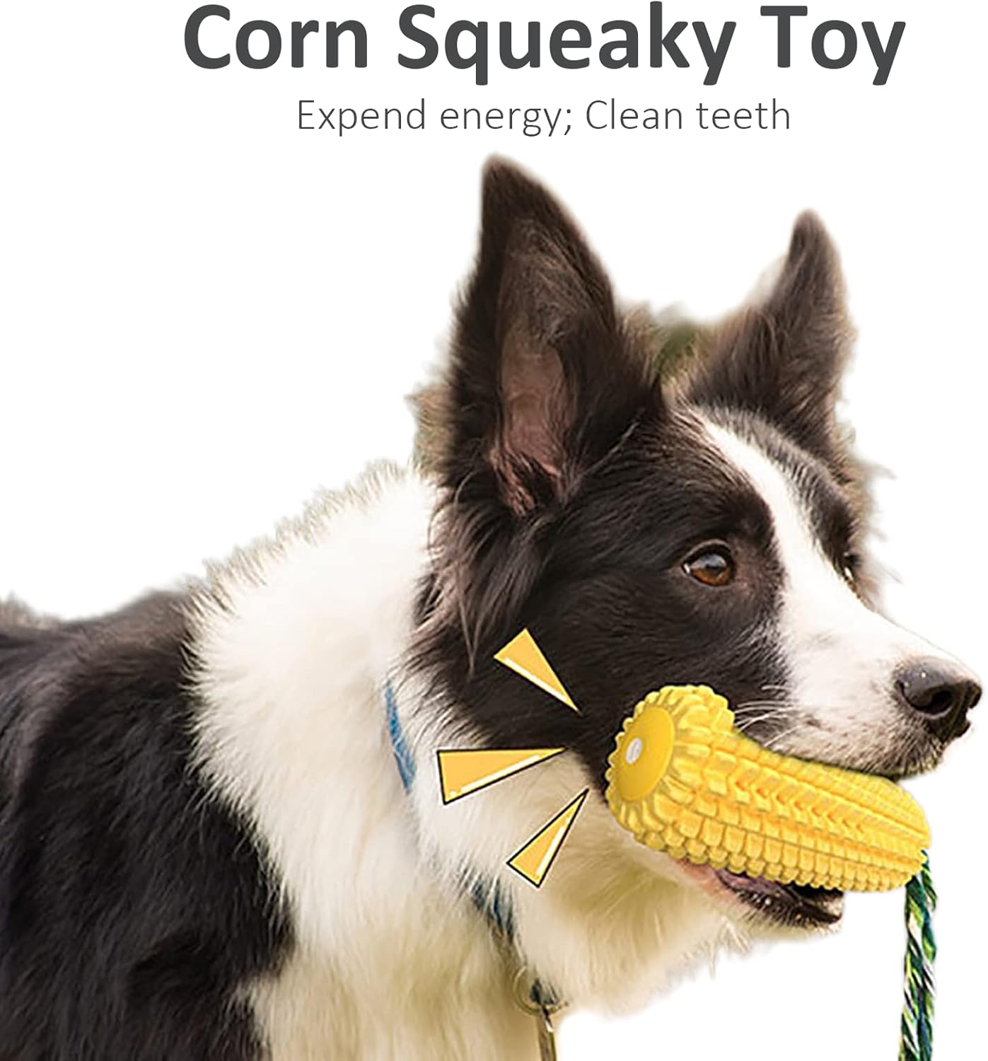 Military Adjustable Nylon Dog Collar and Interactive Toy, Snuffle Mat, Slow Feeding Lick Pad, Strawberry Dog Chew, Corn Squeak Toy