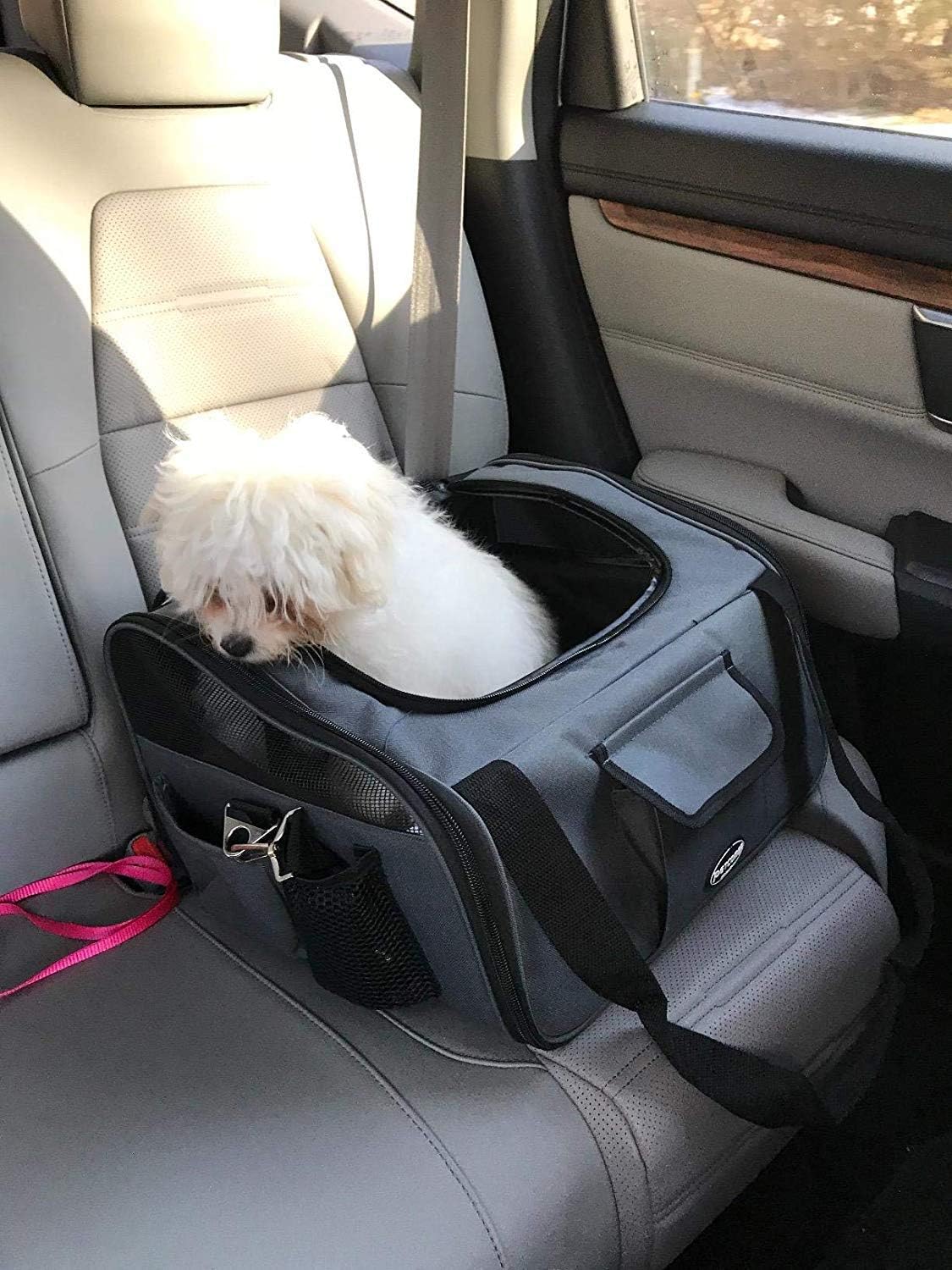 petcomer pet carrier