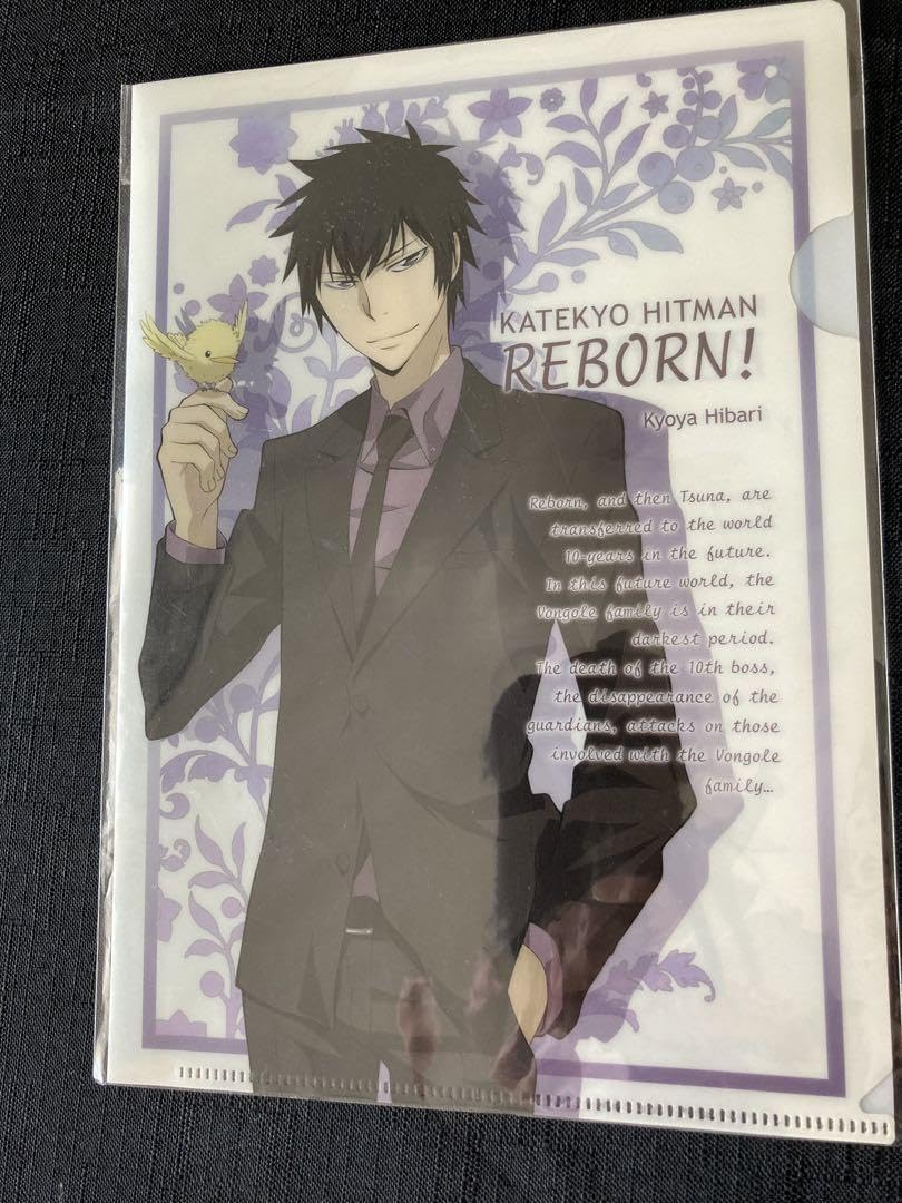 Amazon.co.jp: 家庭教師ヒットマンリボーン雲雀恭弥六道骸 ミニクリア