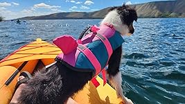 Review Image by Aaron Kimbell