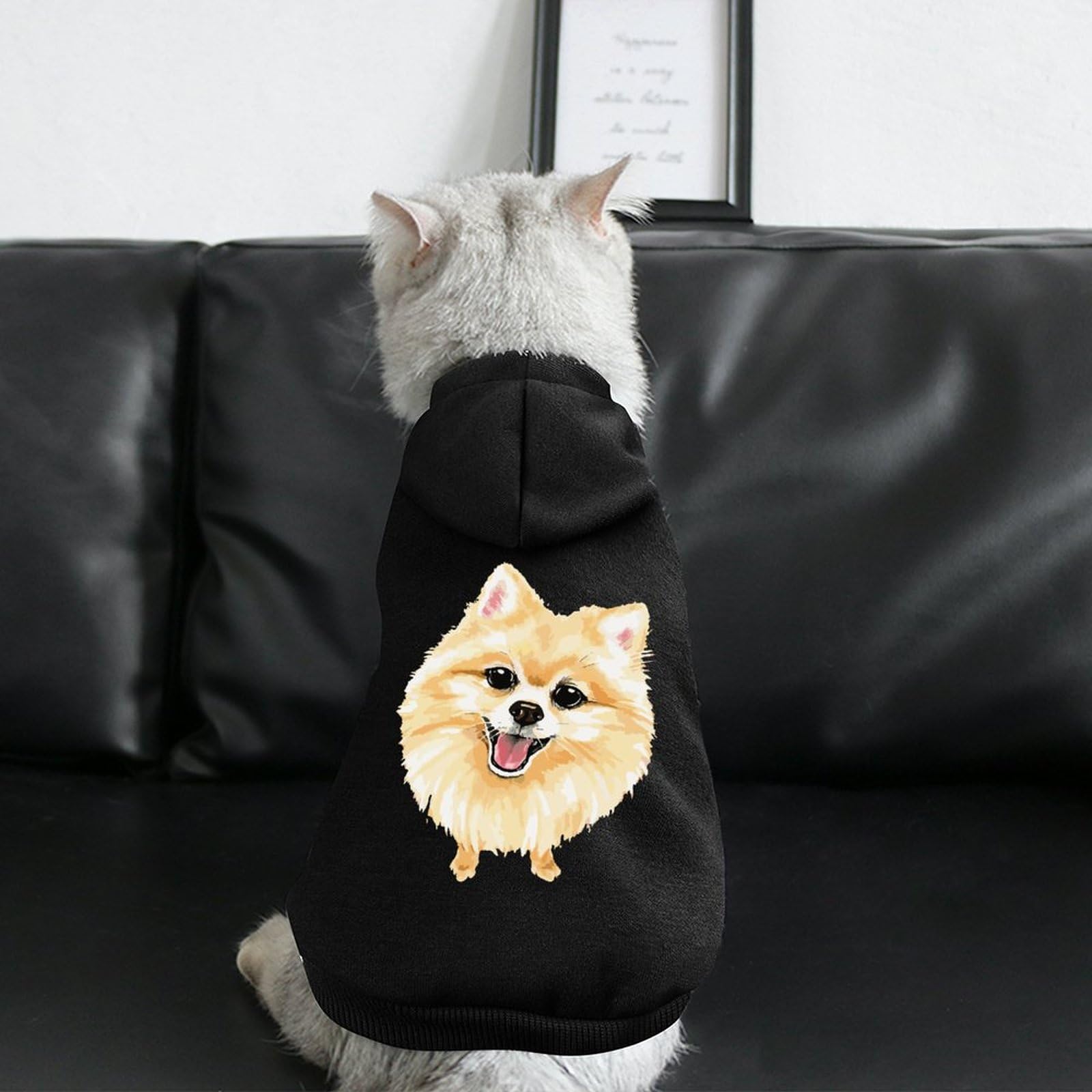 Amazon.co.jp: ペット服 ポメラニアン 犬柄 犬服 猫服 パーカー フード