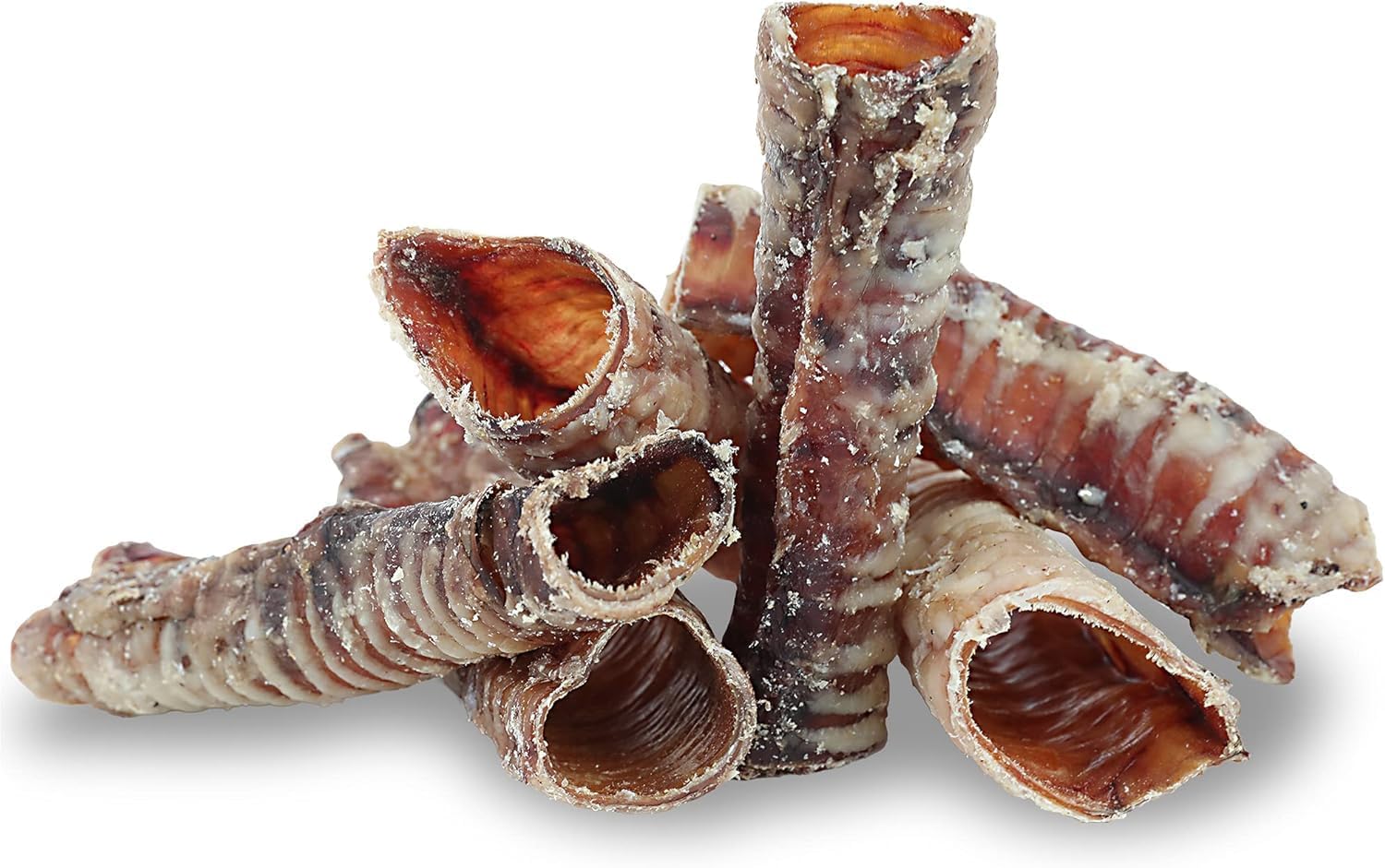 Pet Craft Supply Large 6" Buffalo Trachea Bones Dog Chews Treats 6 Pack for Aggressive Chewers Long Lasting Rawhide Free Premium Slow Roasted for Puppies Small Medium Large Dogs