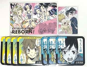 家庭教師ヒットマンREBORN! 三浦ハル 笹川京子 アートコースター 家庭 家庭教師ヒットマンREBORN! 三浦ハル 笹川京子 アートコースター 家庭