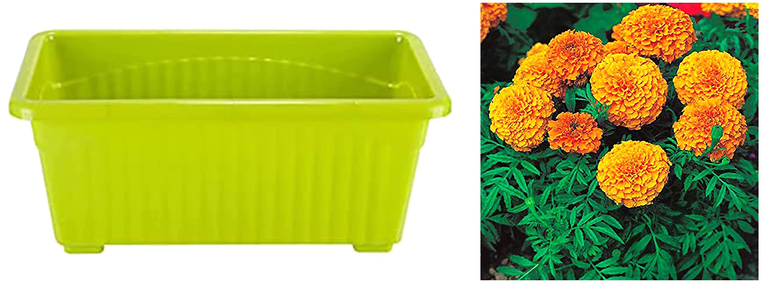 Kraft Seeds Window Planter Bold Jupiter Solid Look and Feel Pots 32cm Length and Width 16cm Green&Kraft Seeds Summer Bloom Flower Seeds 3 Varieties in 1 Pack&Kraft Seeds African Marigold Flower (B0BC9N9MF6) Amazon Price History, Amazon Price Tracker