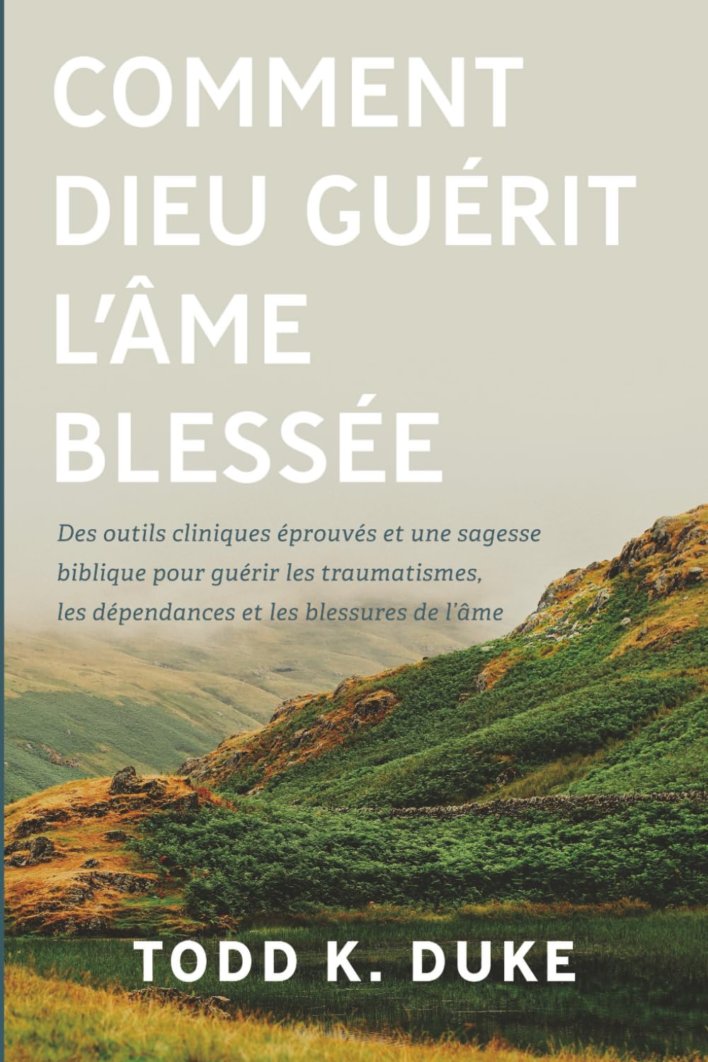 Comment Dieu guérit l'âme blessée: Des outils cliniques éprouvés et une sagesse biblique pour guérir les traumatismes, les dépendances et les blessures de l’âme