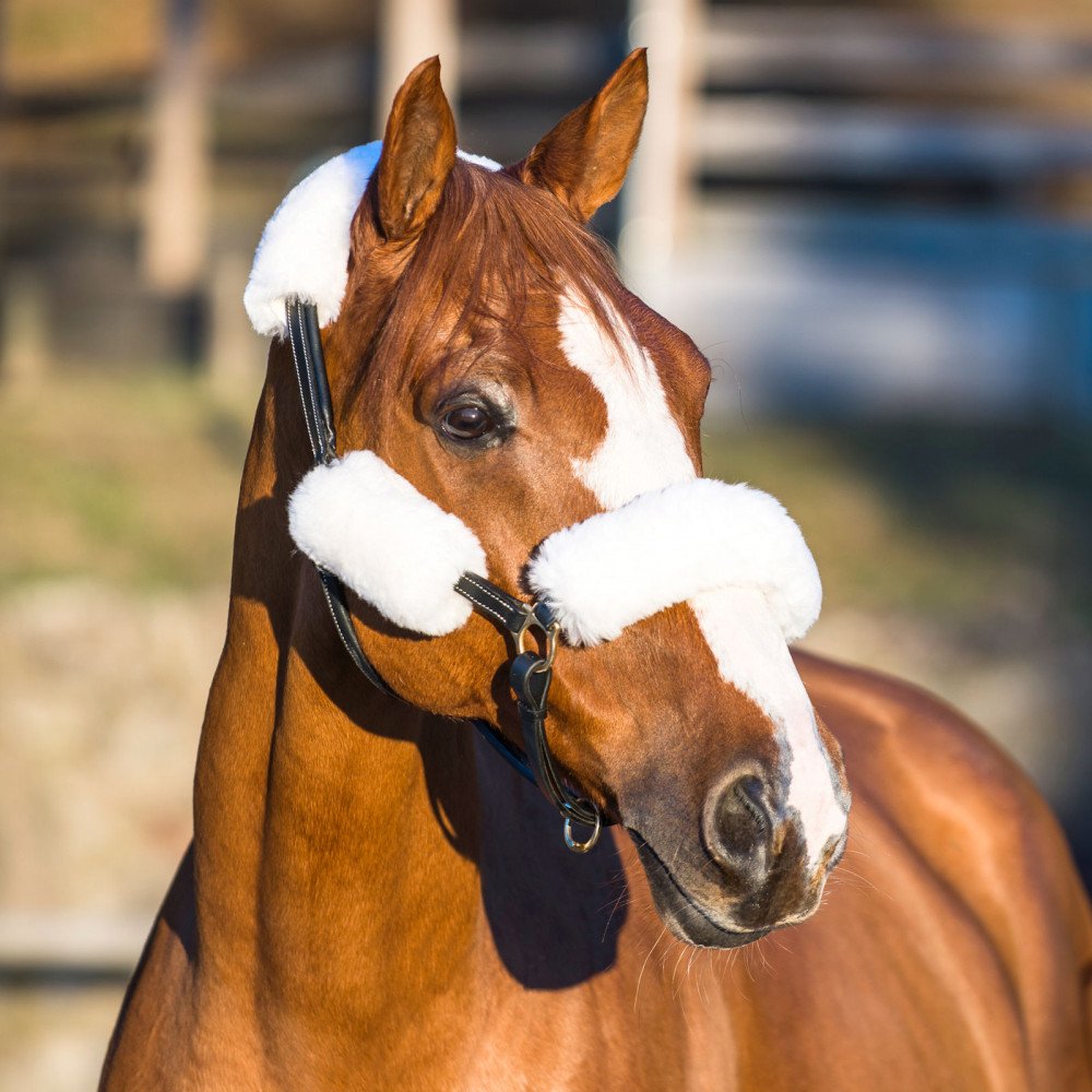CHALLENGER Cob Nylon Braided Rhinestone Noseband Rope Halter Hunter Green 606SE21-C