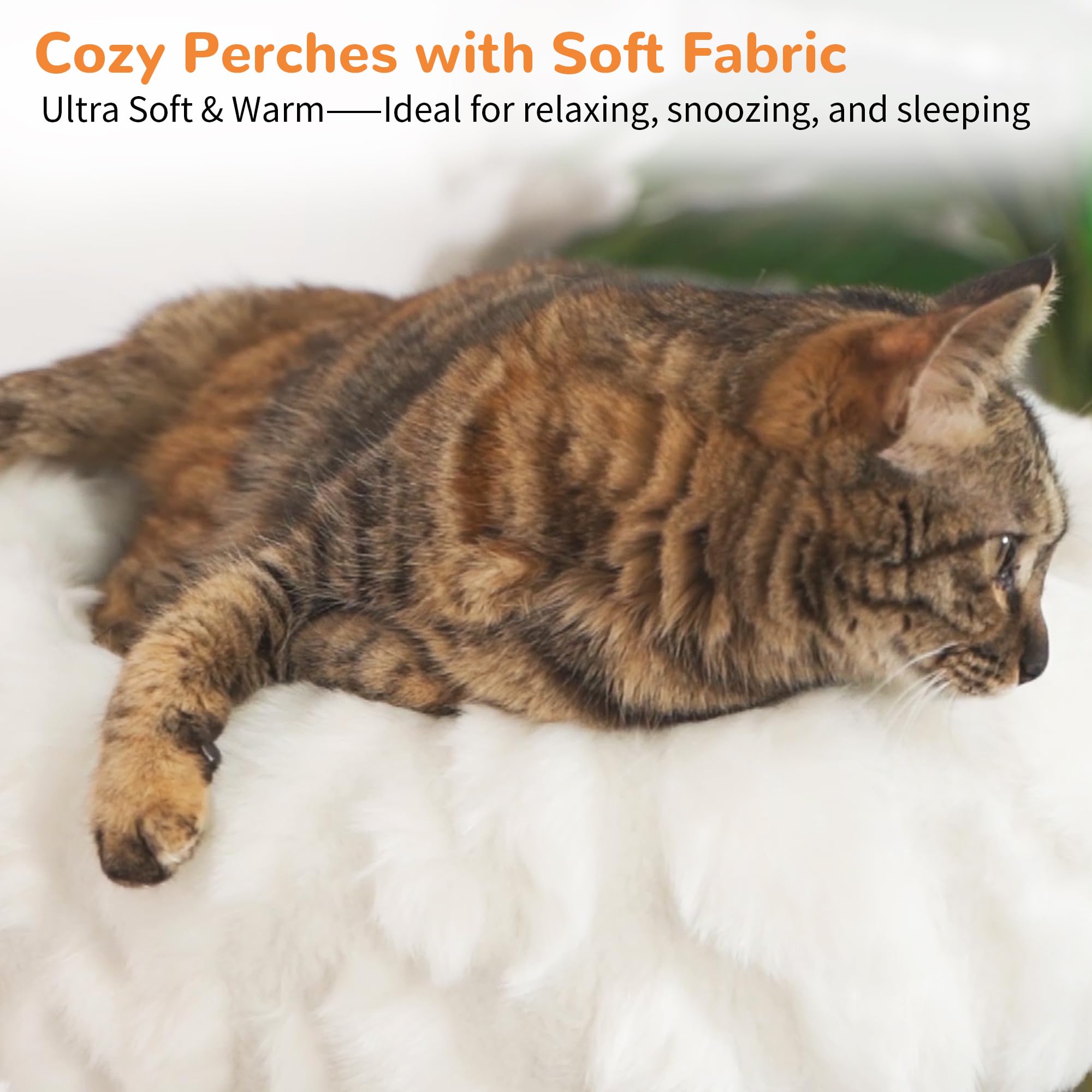 COZIWOW Modern Cat Tree Tower, Solid Natural Wood Cloud — free download