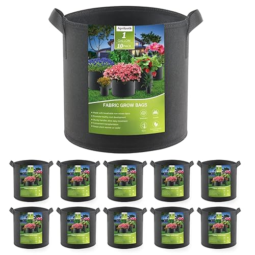 Paquete de 10 bolsas de cultivo de 1 galón para cultivar plantas, flores, verduras, hongos, aireación espesa, macetas de tela no tejida con asas