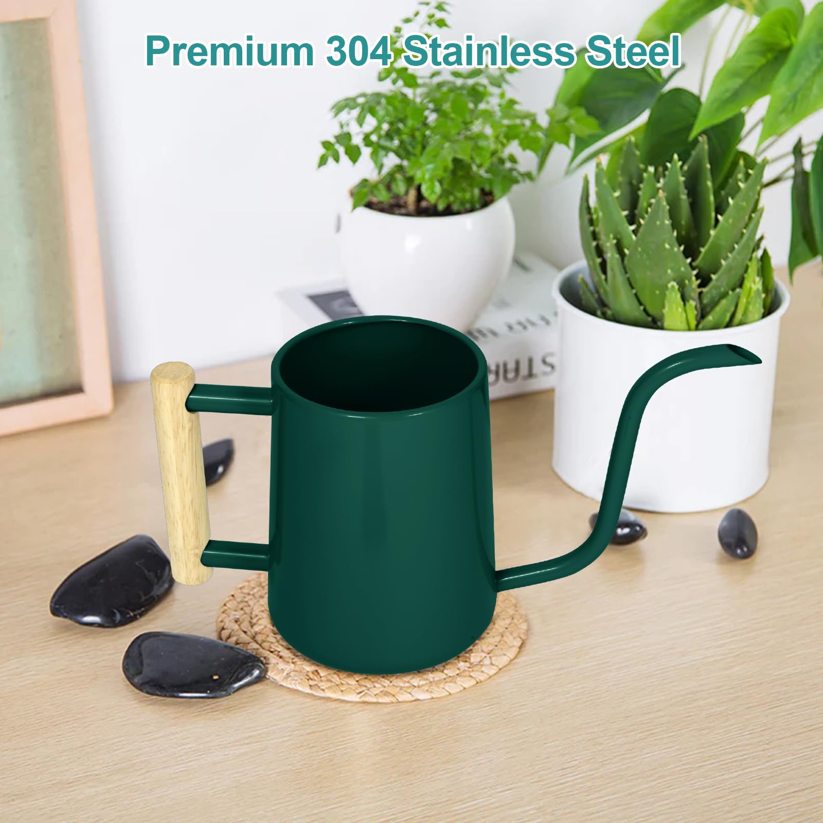 Gießkanne für Zimmerpflanzen, 1000 ml, Metall, Edelstahl, Gießkanne mit langem Auslauf für Zimmerpflanzen, Bonsai, Garten, Blumen, dekorativ, Alpinegreen