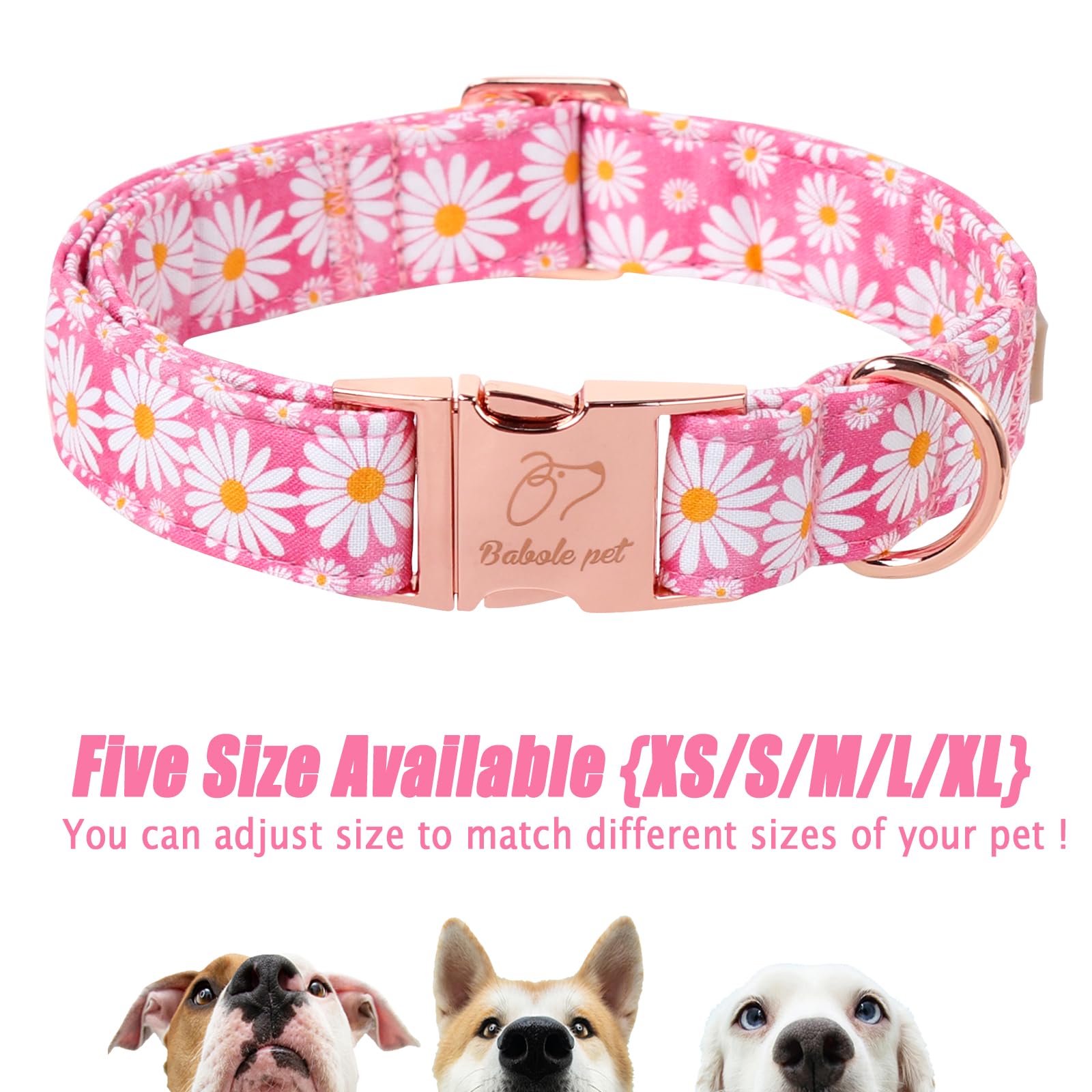 Hundehalsband, Sommer, rosa Gänseblümchen, mit Sicherheits-Metallschnalle, verstellbar, Welpenhalsbänder für kleine, mittelgroße und große Hunde, Jungen und Mädchen, Hundehalsband, Geschenk, Halsband,
