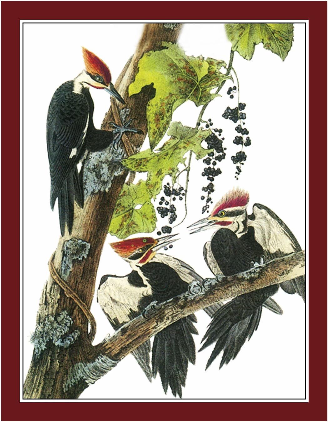 Orenco Originals Pileated Woodpecker Bird by Audubon's Counted Cross Stitch Pattern