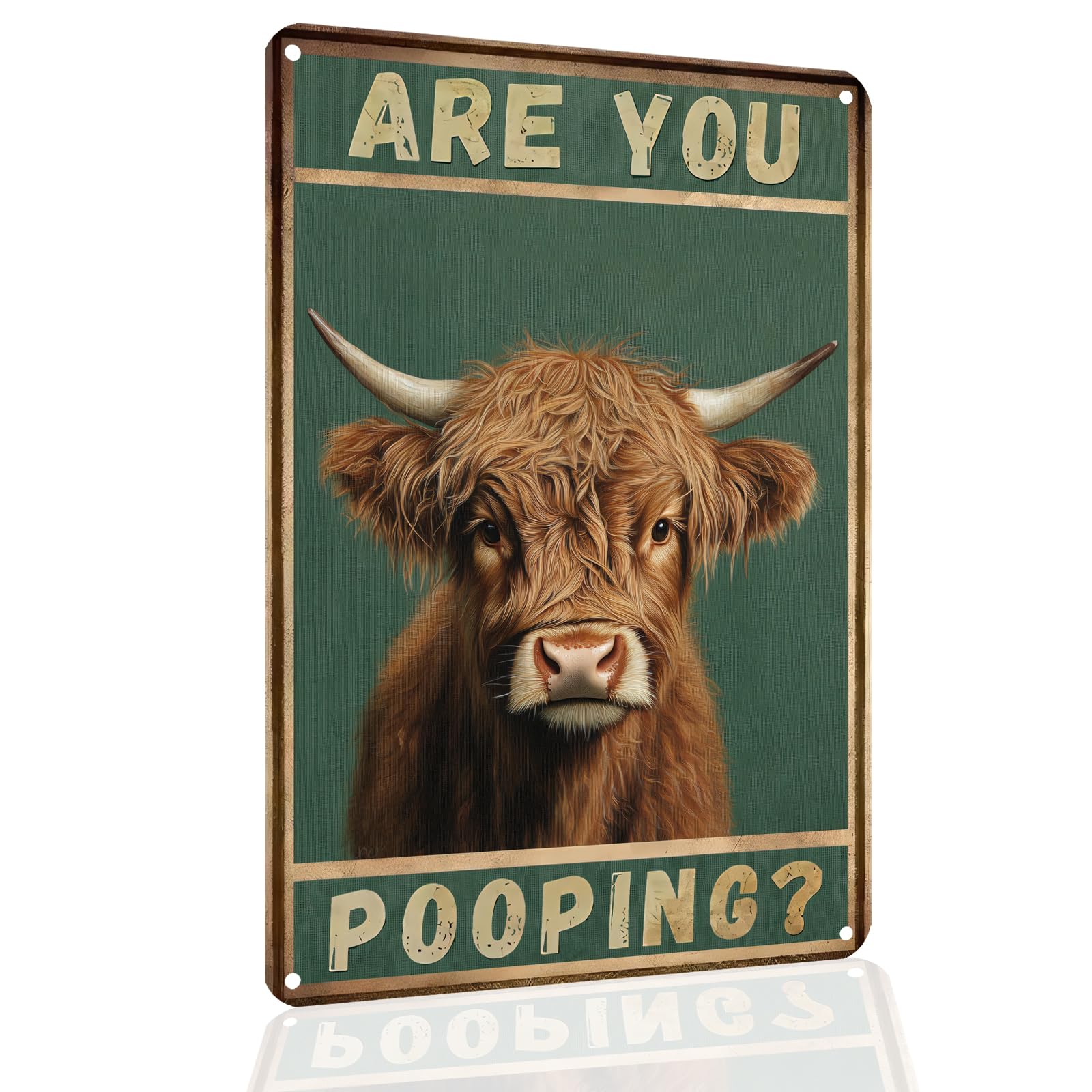 Vintage Highland Cow Tin Sign Are You Pooping Funny Tin Sign Bathroom Wall Decor 8 x 12 Inch