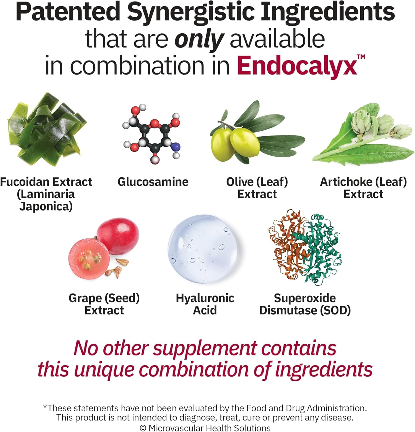 Endocalyx Supplement - Endothelial Glycocalyx Support 60 Capsules - Vascular & Microcirculation Health - Clinically-Studied - Patented - Supports Nitric Oxide Functions