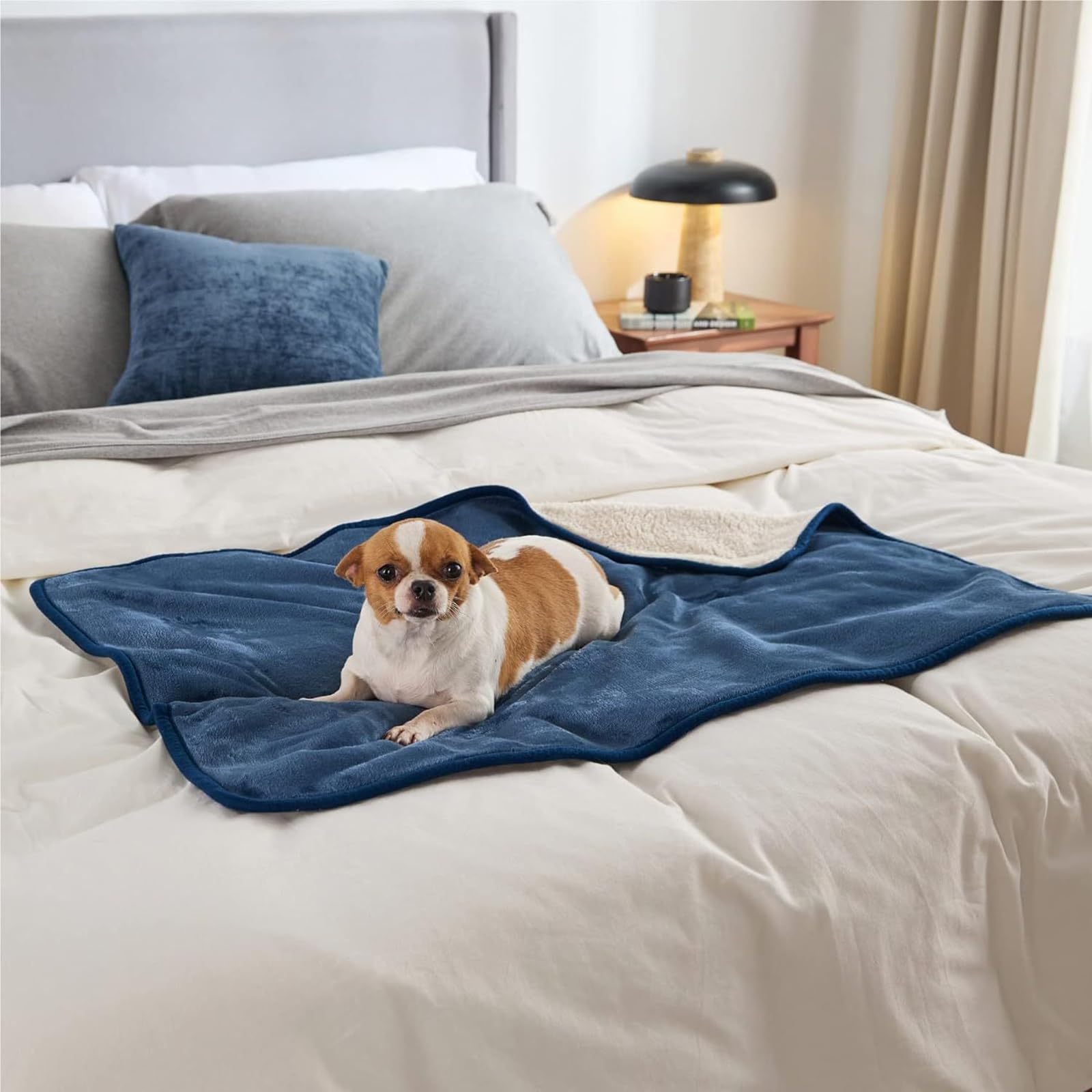 Couverture pour Chien Réversible Chien Hydrofuge Protection pour Canapé Lavable en Machine pour Chiens Et Chats (Color : Blauw, Size : L 100 * 160CM/39 * 63IN)