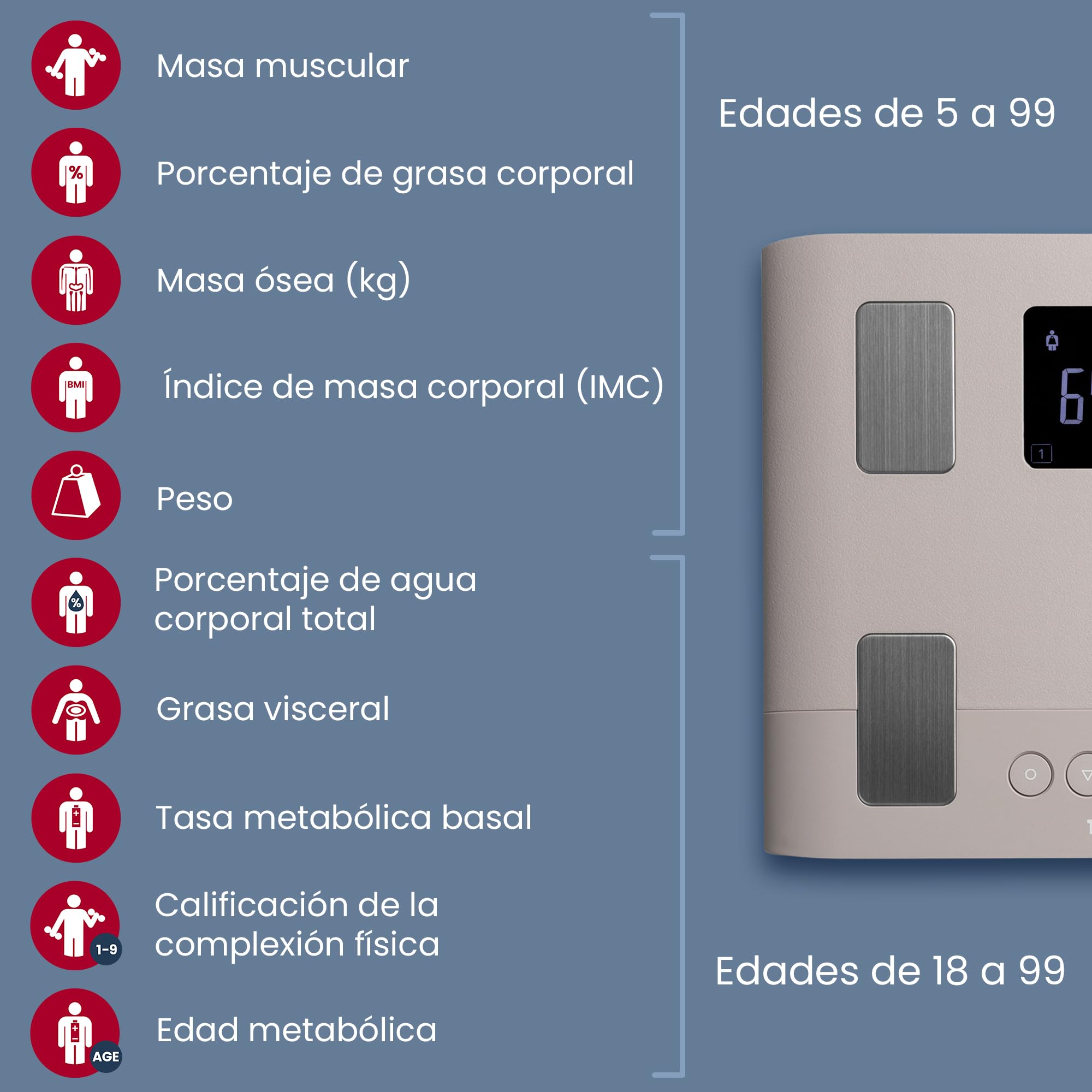 TANITA BC-333LE - Báscula de análisis corporal inteligente para toda la familia, promueve una imagen corporal positiva