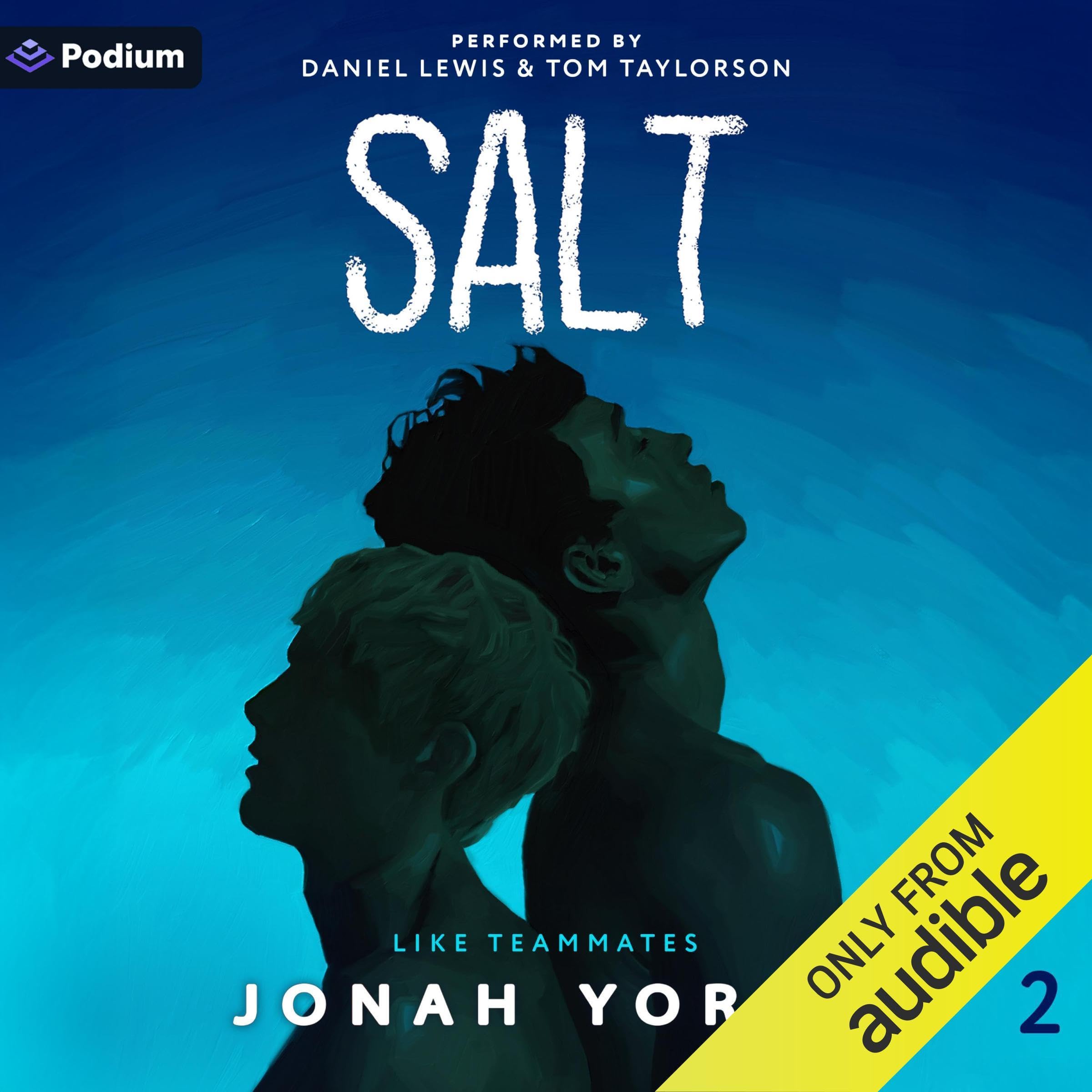 Cover art for Salt