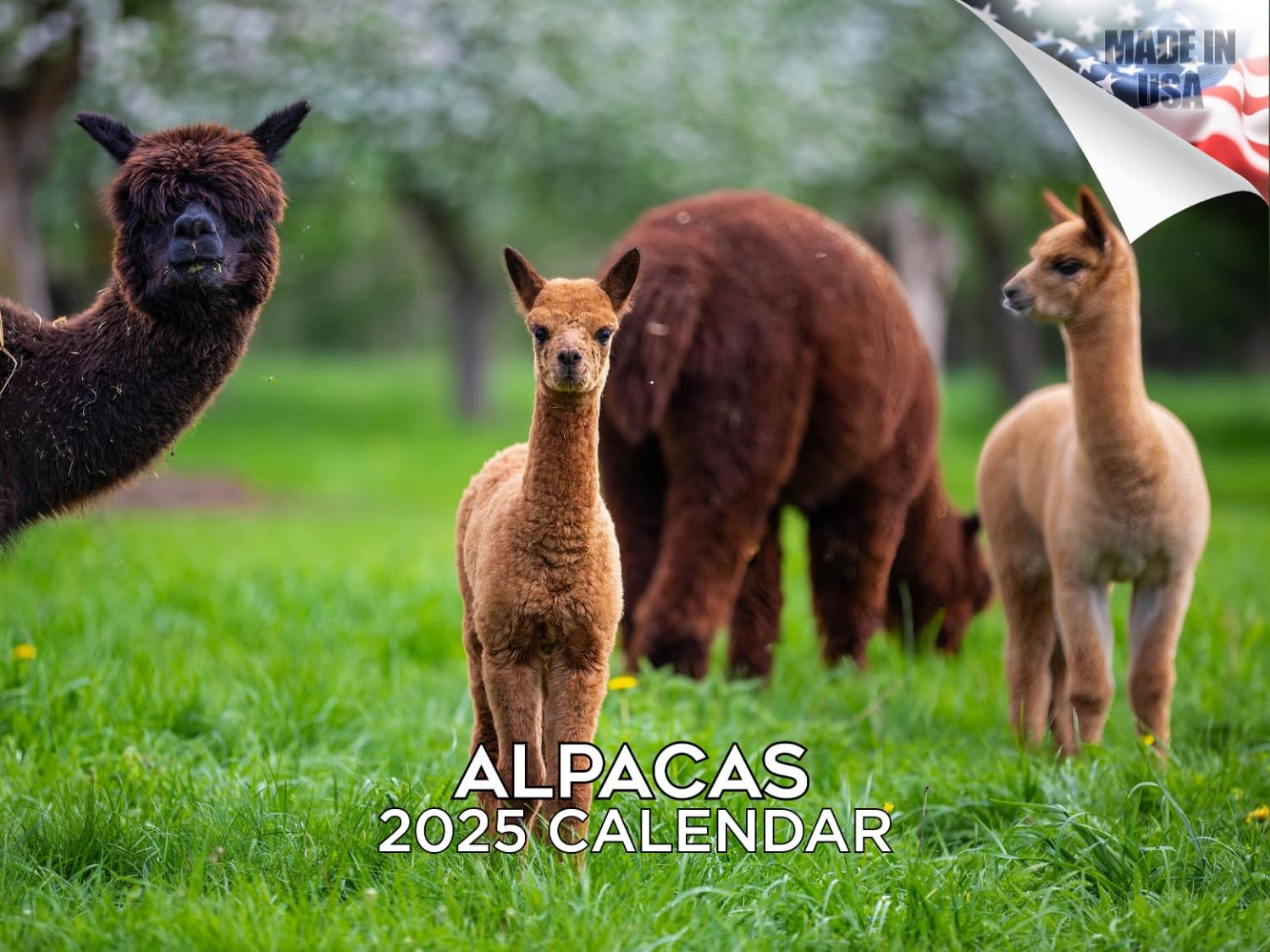 2024 2025 Alpacas Calendar Cute Farm Animal Monthly